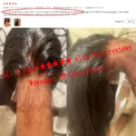 U584d9b29b25144928173f3eaba2197efT-1.webp